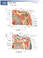 Sobotta  Atlas of Human Anatomy  Trunk, Viscera,Lower Limb Volume2 2006, page 129